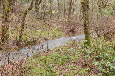 1200 Lower Wolf Creek Road, Wolf Creek, OR 97497 - Photo 46