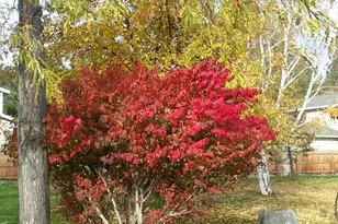 2615 SW 21st St, Redmond, OR 97756 - Photo 28