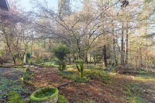 301 Canyon Dr, Grants Pass, OR 97527 - Photo 44