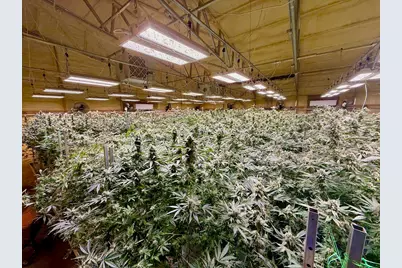 [Address not provided], Selma, OR 97538 - Photo 14