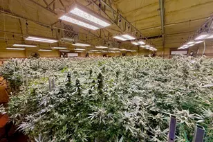 [Address not provided], Selma, OR 97538 - Photo 14