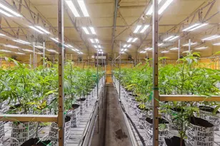 [Address not provided], Selma, OR 97538 - Photo 6