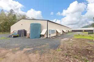 [Address not provided], Selma, OR 97538 - Photo 4