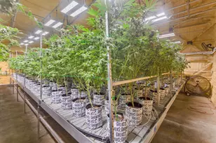 [Address not provided], Selma, OR 97538 - Photo 12