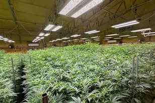 [Address not provided], Selma, OR 97538 - Photo 18