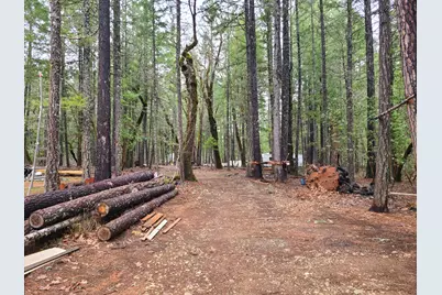 151 Linkhart Drive, Selma, OR 97538 - Photo 14