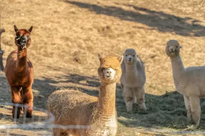 5582 N McKay Road, Prineville, OR 97754 - Photo 48