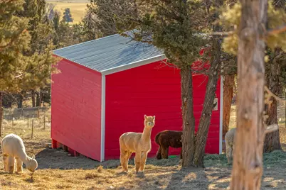 5582 N McKay Road, Prineville, OR 97754 - Photo 48