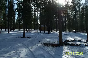 216 Chapman St, Gilchrist, OR 97737 - Photo 18