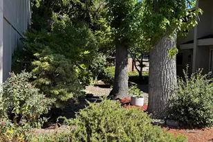 1279 Maple Leaf Ct, Medford, OR 97504 - Photo 4