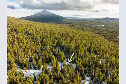 18302 Sugar Cone Court #Lot 28, Crescent Lake, OR 97733 - Photo 52