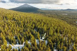 18302 Sugar Cone Ct, Crescent Lake, OR 97733 - Photo 52