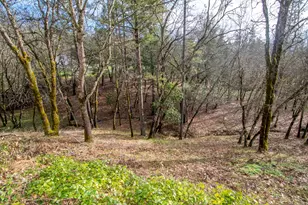 323 Roan Dr, Grants Pass, OR 97526 - Photo 60