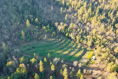 4098 Foots Creek R Fork Road, Gold Hill, OR 97525 - Photo 4