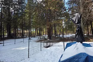 14728 Cambium, La Pine, OR 97739 - Photo 28