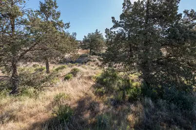 Se Larkspur Drive #41, Madras, OR 97741 - Photo 16