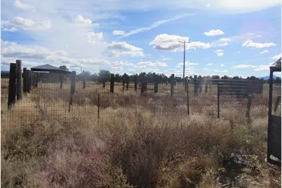 4130 Sheep Mountain Road, Macdoel, CA 96058 - Photo 14