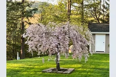 1514 Sterling Creek Road, Jacksonville, OR 97530 - Photo 38