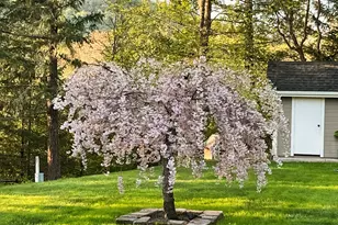 1514 Sterling Creek Rd, Jacksonville, OR 97530 - Photo 38