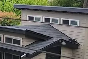 2798 Yvonne Rd, Medford, OR 97504 - Photo 62