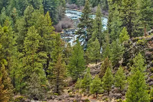 19717 Mount Bachelor Dr, Bend, OR 97702 - Photo 8