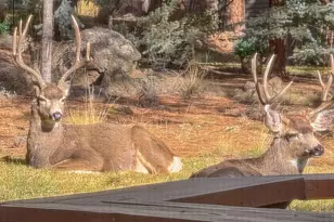 1648 NW Summit Dr, Bend, OR 97703 - Photo 14