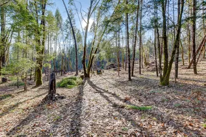 530 Ingalls Lane, Wilderville, OR 97543 - Photo 66