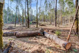 530 Ingalls Ln, Wilderville, OR 97543 - Photo 58