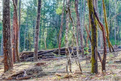 530 Ingalls Lane, Wilderville, OR 97543 - Photo 56