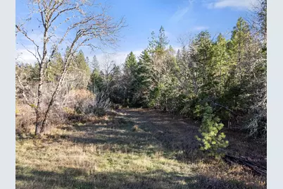 681 Daisy Hill Road, Cave Junction, OR 97523 - Photo 16