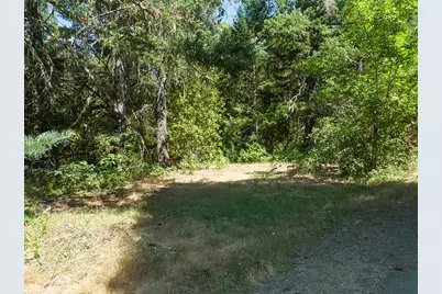 125 Warren Road, Selma, OR 97538 - Photo 42