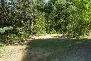 125 Warren Rd, Selma, OR 97538 - Photo 42