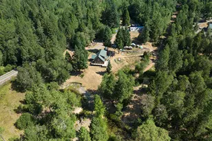 125 Warren Rd, Selma, OR 97538 - Photo 34