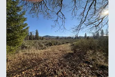 150 Illinois River Road, Selma, OR 97538 - Photo 16