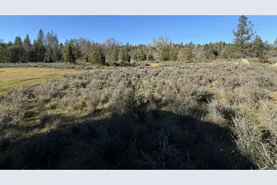 150 Illinois River Road, Selma, OR 97538 - Photo 20