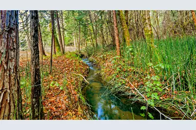 5370 Caves Highway, Cave Junction, OR 97523 - Photo 28