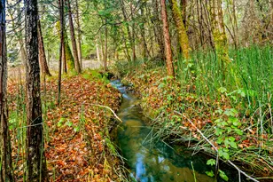 5370 Caves Hwy, Cave Junction, OR 97523 - Photo 28