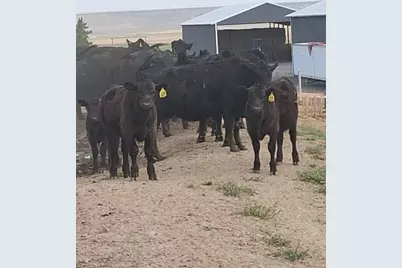 31643 L 5 Lane, Burns, OR 97720 - Photo 24