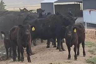 31643 L 5 Ln, Burns, OR 97720 - Photo 24