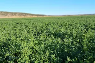 31643 L 5 Ln, Burns, OR 97720 - Photo 20