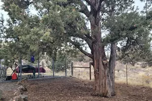 3913 SE Umatilla Loop, Prineville, OR 97754 - Photo 24