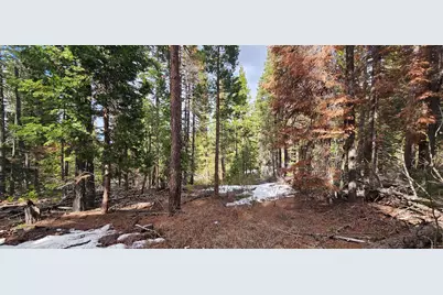 Leopard Lane #3711-015A0-04300, Bonanza, OR 97623 - Photo 2