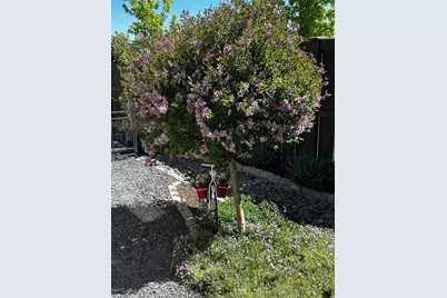 3680 SW Badger Court, Redmond, OR 97756 - Photo 36