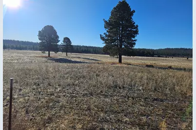 31747 Godowa Springs Road, Beatty, OR 97621 - Photo 1