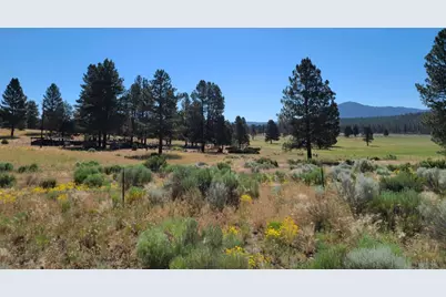 31747 Godowa Springs Road, Beatty, OR 97621 - Photo 4