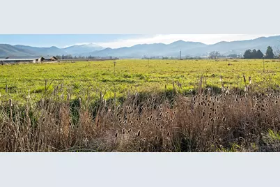 Colver Road, Phoenix, OR 97535 - Photo 12