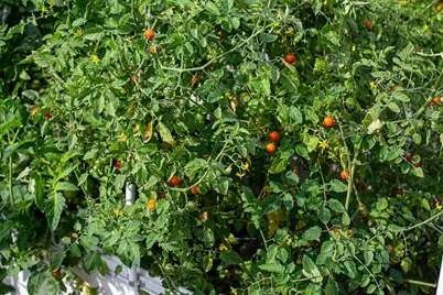 11173 SW Yates Court, Powell Butte, OR 97753 - Photo 32