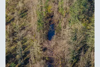 11997 Towers Road SE, Stayton, OR 97383 - Photo 34