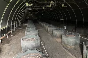 427 Lofland Ln, Williams, OR 97544 - Photo 48