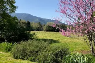 427 Lofland Ln, Williams, OR 97544 - Photo 8